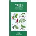 Waterford Press Trees Book: An Introduction to Familiar North American Species WFP1583551783